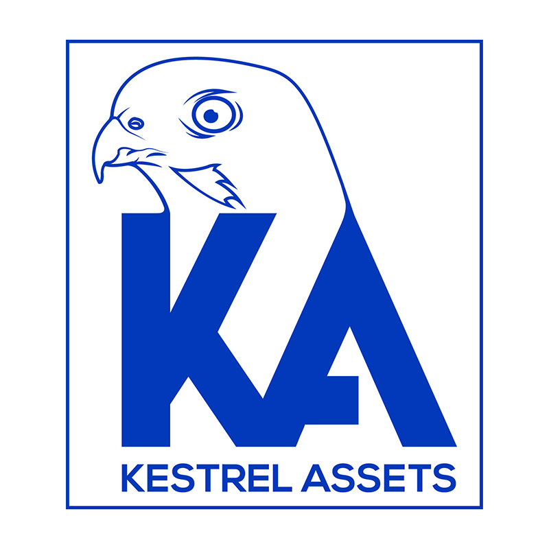 Embossed Kestrel emblem
